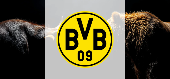 Beitragsbild zu BVB Aktie: Sammer bleibt – Kehl fordert Leistung
