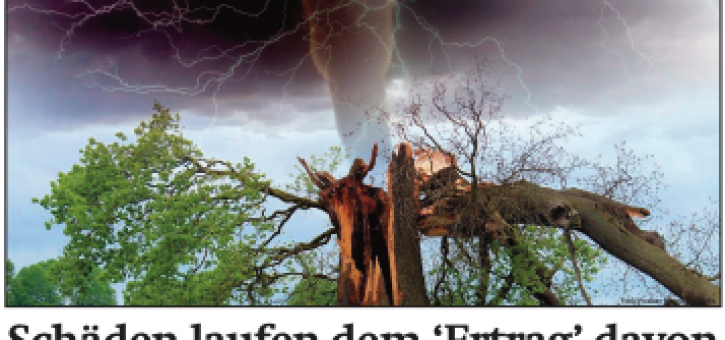 Beitragsbild zu News aus dem Börse Express PDF vom 26.03.2024: Die Schäden laufen dem Ertrag davon und s Immo weniger rot als erwartet - News von Andritz, Burgenland Holding, CA Immo, Do&Co, Marinomed, Mayr-Melnhof, OMV, Valneva, Varta