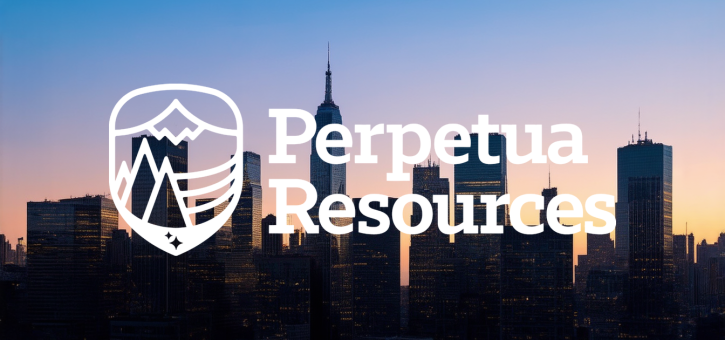 Beitragsbild zu Perpetua Resources: Goldprojekt vor entscheidender Phase?